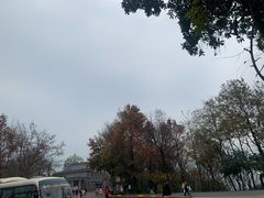 -岳麓山风景名胜区