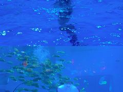 -前王院•巧克力海鲜市集餐厅(万平口店)