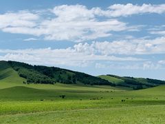 -塞罕坝国家级自然保护区