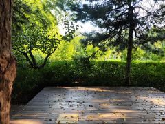 -郑州植物园