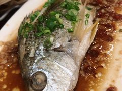 清蒸黄花鱼-全渔村小海鲜