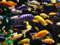 -太平洋海底世界