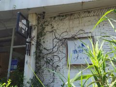 -春树下·树屋花房西餐厅(罍街AS1980店)