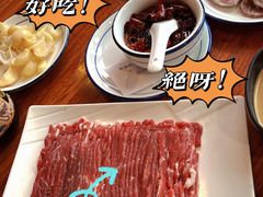手切羊肉-白记四益轩(枣林前街店)