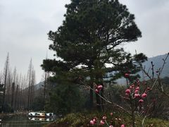 -宝岩生态观光园