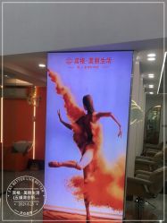 点击看大图 -宾格