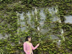 -南山植物园