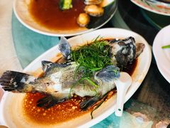 -渔人码头(洛溪店)