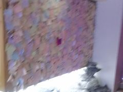 -白兔子密室(长寿路店)