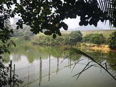 -大王岭农庄