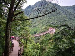 -娄山关景区