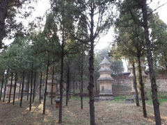 android_upload_pic-少林寺景区