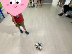 -乐博乐博少儿编程·机器人编程·信息学竞赛(杨浦五角场校区)