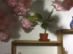 -粤陶渊.DIY陶艺体验馆(粤陶总店)