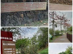 -王借岗森林公园