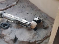 -宁波野生动物园