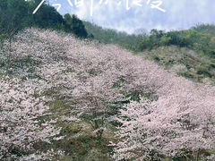 -四明山国家森林公园