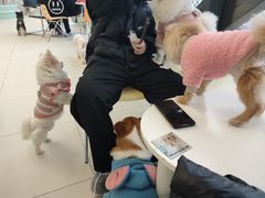 -怪兽屋·羊驼·猫咖·狗咖(俊华广场店)