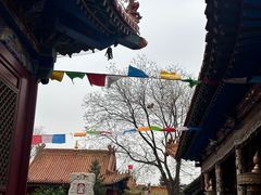 -大召无量寺