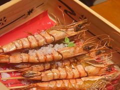 -月龍吟(朝龙汇店)