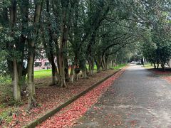 -湖南生物机电职业技术学院(东湖校区)