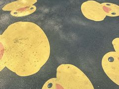 -深圳湾公园(南山区)