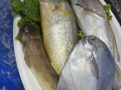 -昌顺园·养马岛渔家海鲜餐厅·老鲁菜(龙湖店)