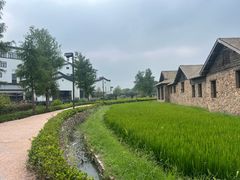 -乌村