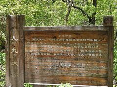 -三块石国家森林公园