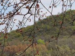 -玉渡山自然风景区