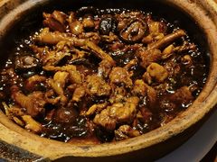 -杨厨的田园饭店(长城路店)