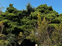 -青岛德国总督楼旧址博物馆