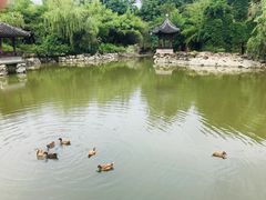 -水绘园