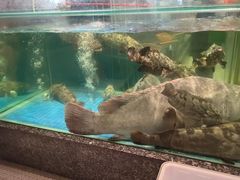 -聚福宝合苑食府(南头镇店)