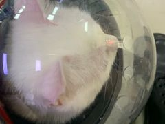 -宠颐生中康贝怡动物医院