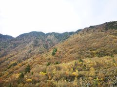 -叠溪松坪沟景区