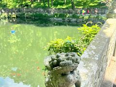 -普陀山风景名胜区-法雨禅寺