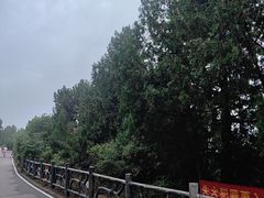 -涂山风景区