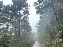 -缥缈峰景区