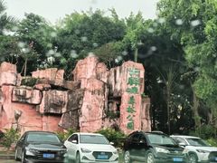 -大屏嶂森林公园