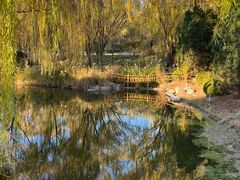 -燕郊植物园