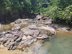 -广州白江湖森林公园