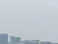 -上海山野camping·户外天幕烧烤·团建拓展营地