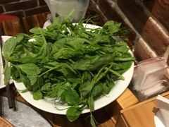 豌豆尖-额尔敦草原涮羊肉·烧烤(冻青树总店)