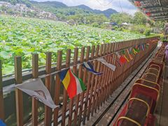 -红山村