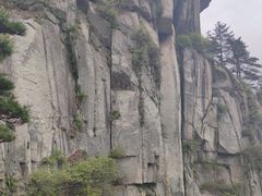 -内乡宝天曼生态旅游区