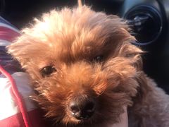 -COSTA COFFEE(武汉天地店)