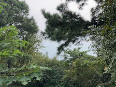 -虞山风景区