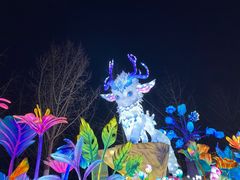 -武汉园博园(武汉自然博物馆)