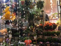 -循礼门鲜花花市(武汉循礼门店)